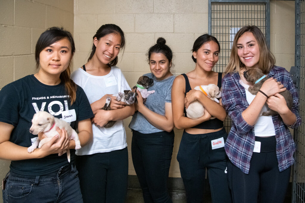 5 students volunteering at animal shelter